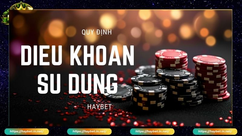 Tổng quan Điều khoản sử dụng Haybet dành cho thành viên mới