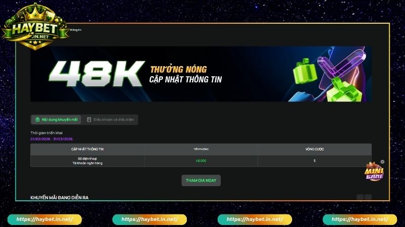 Điều kiện & yêu cầu vòng cược khuyến mãi HAYBET cần biết 