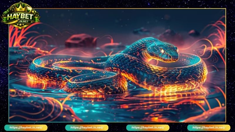 Giải mã giấc nằm mơ thấy rắn đánh số gì?