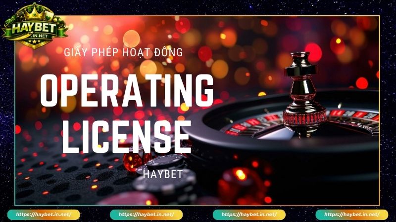 Giới thiệu giấy phép hoạt động Haybet