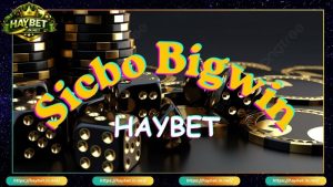 Tìm hiểu tổng quan về Game Sicbo Bigwin HayBet