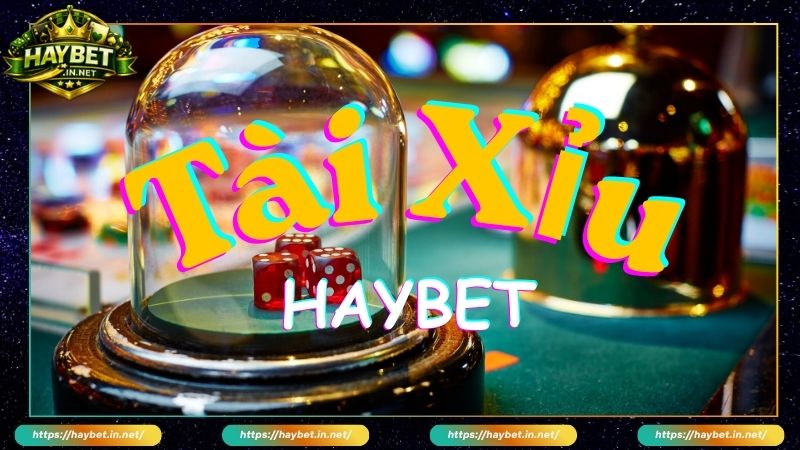 Giới thiệu sảnh Tài Xỉu Live HayBet