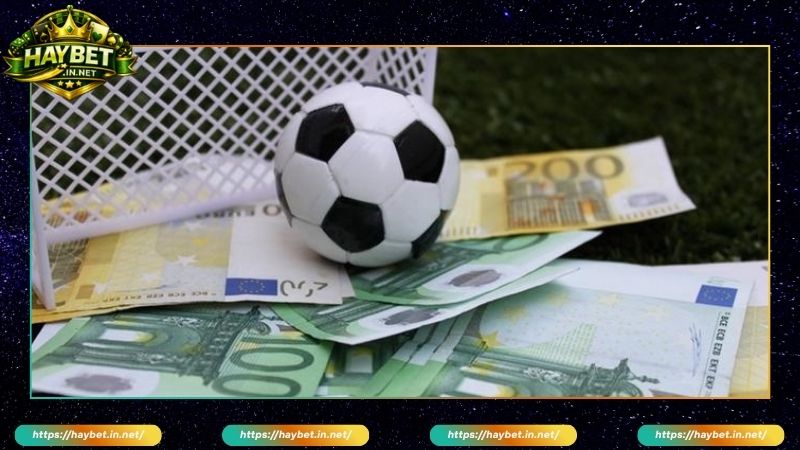 Cách tính tiền cược thể thao Haybet nhanh và chuẩn nhất