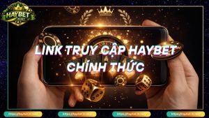 Lý do cần link truy cập HayBet chính thức