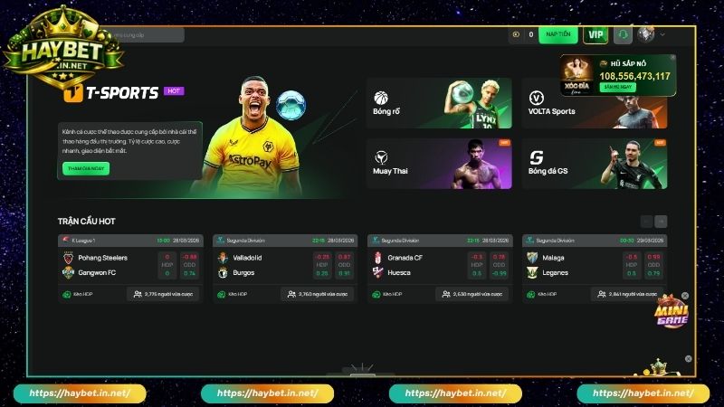 Loại hình dự đoán thể thao trên T Sports