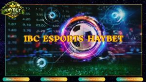 Tổng quan về sảnh cược thể thao IBC Sports