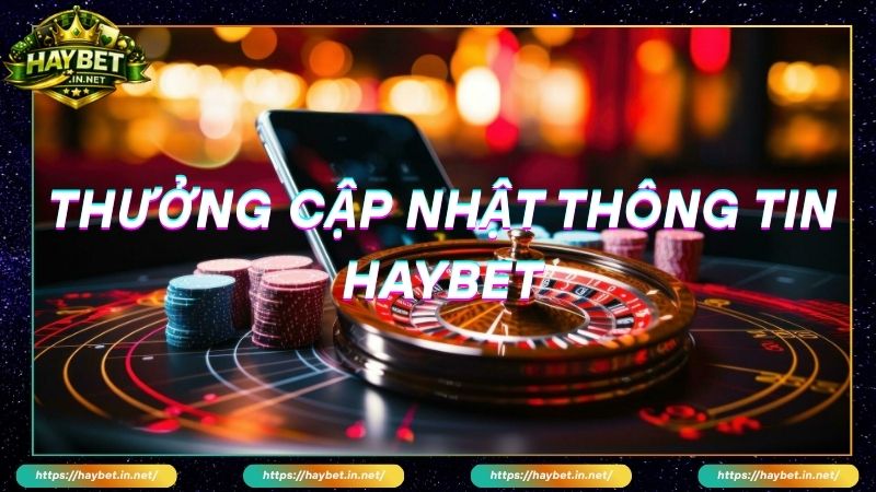 Chương trình Thưởng cập nhật thông tin HAYBET là gì? 