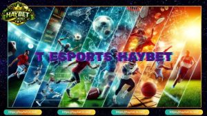 Đôi nét giới thiệu về sảnh T Sports